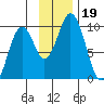 Seal Bay tide chart for Tuesday, November 19, 2024