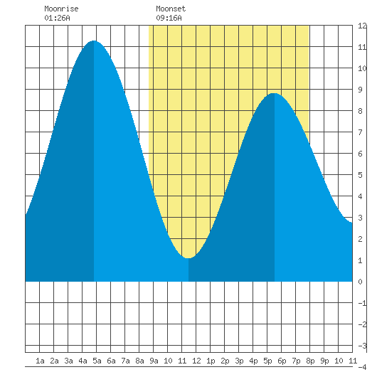 Seal Bay tide chart for Sunday, March 8, 2026