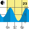 Seal Bay tide chart for Saturday, May 23, 2026