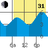 Seal Cape tide chart for Saturday, July 31, 2021