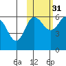 Seal Cape tide chart for Sunday, October 31, 2021