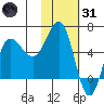 Seal Cape tide chart for Monday, January 31, 2022