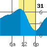 Seal Cape tide chart for Tuesday, January 31, 2023