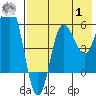 Seal Cape tide chart for Tuesday, August 1, 2023
