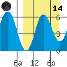 Seal Cape tide chart for Thursday, September 14, 2023