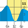 Seal Cape tide chart for Tuesday, June 11, 2024