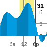 Seal Cape tide chart for Tuesday, December 31, 2024