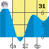 Seal Cape tide chart for Sunday, May 31, 2026
