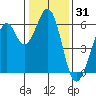 Seaplane Harbor tide chart for Tuesday, December 31, 2024