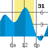 Selby tide chart for Tuesday, December 31, 2024