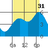 Selby tide chart for Sunday, August 31, 2025