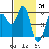 Selby tide chart for Saturday, January 31, 2026