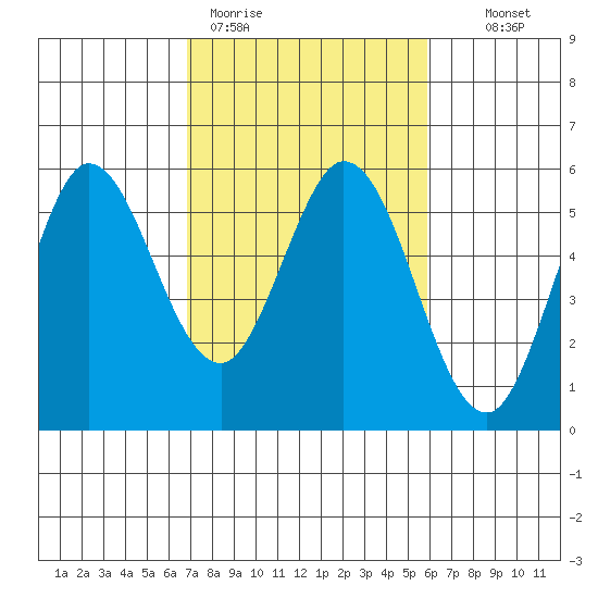 Selby tide chart for Thursday, February 19, 2026