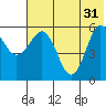 Settlement Point tide chart for Friday, May 31, 2024