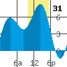 Settlement Point tide chart for Tuesday, December 31, 2024