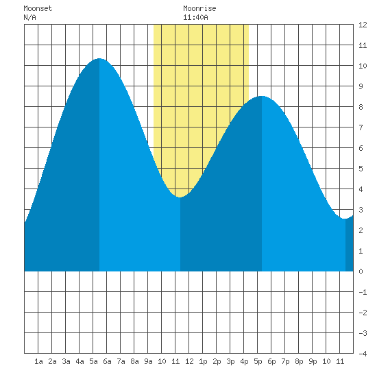 Shag Rock tide chart for Tuesday, January 19, 2021