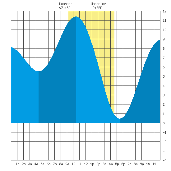 Shag Rock tide chart for Monday, January 25, 2021