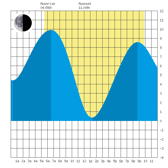 Shag Rock tide chart for Monday, May 3, 2021