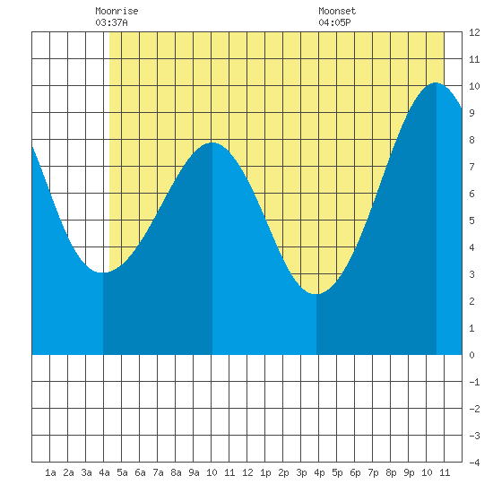 Shag Rock tide chart for Friday, June 4, 2021