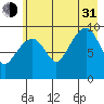 Shag Rock tide chart for Saturday, July 31, 2021