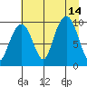 Shag Rock tide chart for Saturday, August 14, 2021