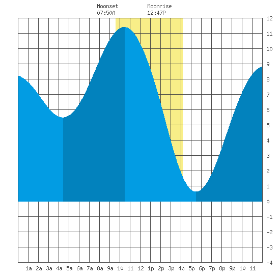 Shag Rock tide chart for Friday, January 14, 2022