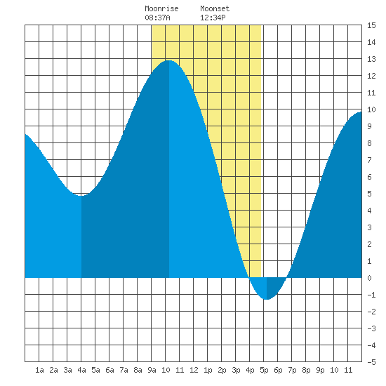 Shag Rock tide chart for Saturday, January 29, 2022