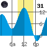 Shag Rock tide chart for Monday, January 31, 2022