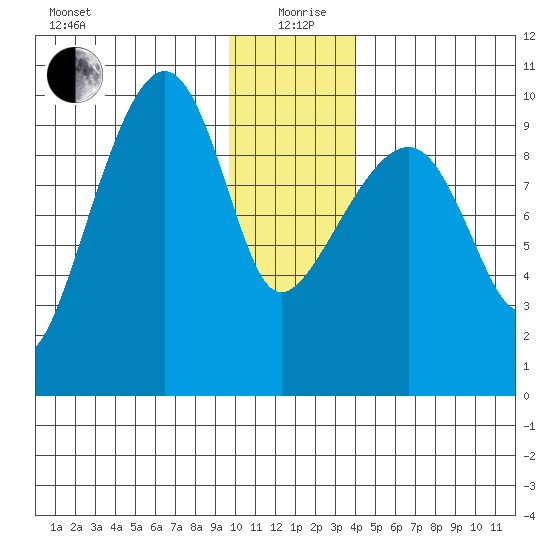 Shag Rock tide chart for Sunday, January 9, 2022