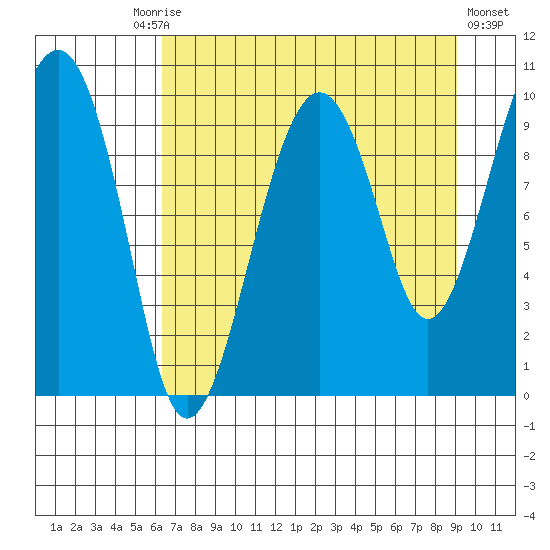 Shag Rock tide chart for Friday, August 26, 2022