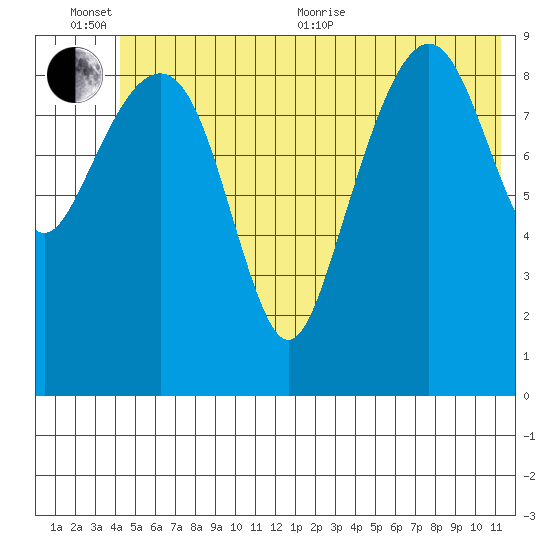 Shag Rock tide chart for Sunday, June 25, 2023