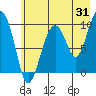 Shag Rock tide chart for Monday, July 31, 2023