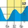 Shag Rock tide chart for Saturday, August 12, 2023