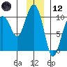 Shag Rock tide chart for Tuesday, December 12, 2023