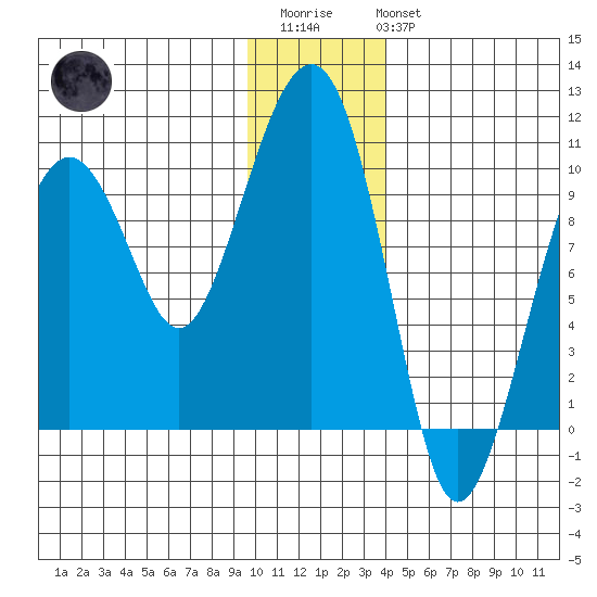 Shag Rock tide chart for Thursday, January 11, 2024