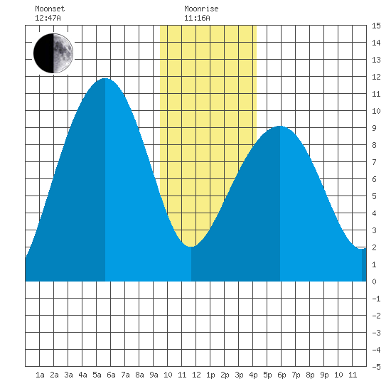 Shag Rock tide chart for Wednesday, January 17, 2024