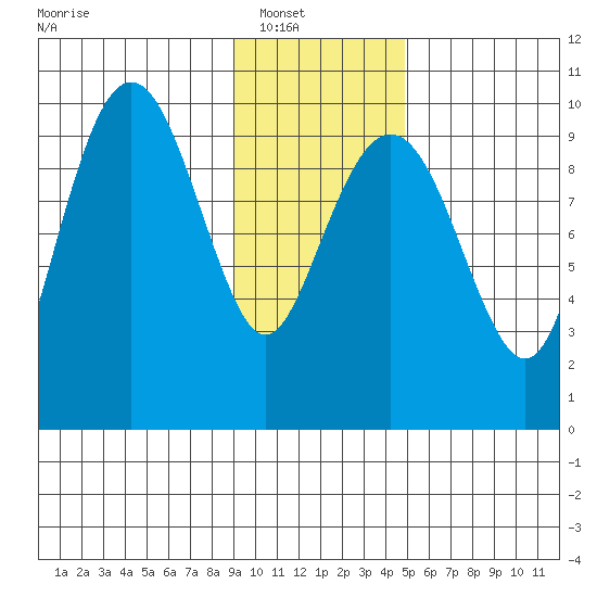 Shag Rock tide chart for Wednesday, January 31, 2024