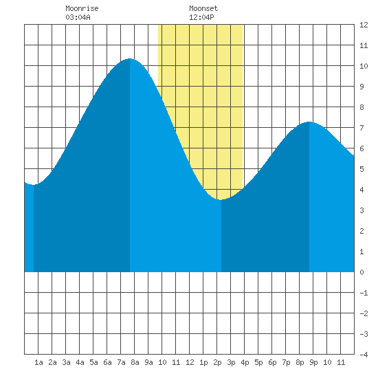 Shag Rock tide chart for Friday, January 5, 2024