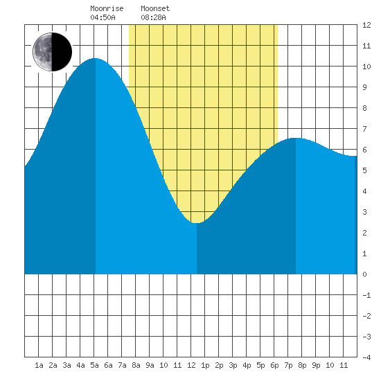 Shag Rock tide chart for Sunday, March 3, 2024