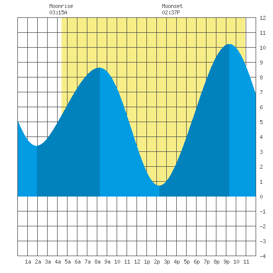 Shag Rock tide chart for Friday, May 31, 2024