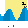 Shag Rock tide chart for Friday, May 31, 2024