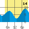Shag Rock tide chart for Friday, June 14, 2024