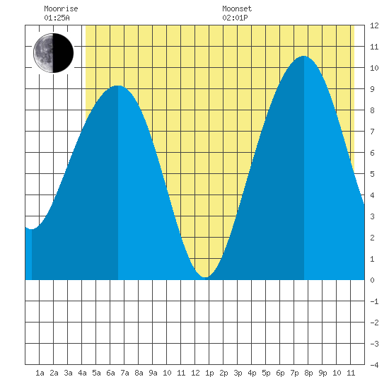 Shag Rock tide chart for Friday, June 28, 2024