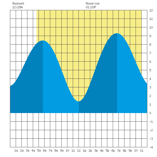 Shag Rock tide chart for Friday, July 12, 2024