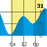 Shag Rock tide chart for Wednesday, July 31, 2024