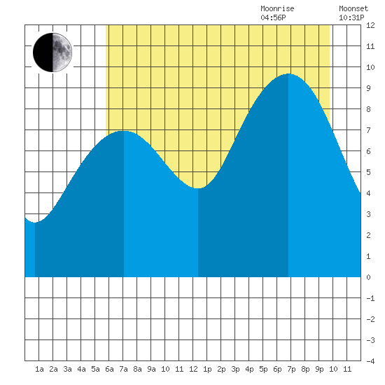 Shag Rock tide chart for Monday, August 12, 2024