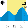 Shag Rock tide chart for Monday, August 12, 2024