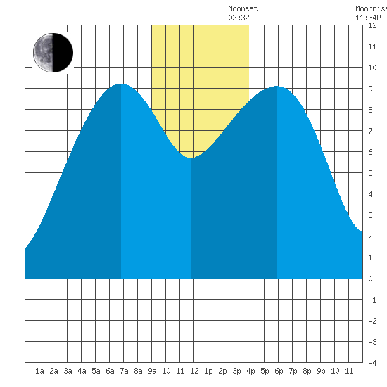 Shag Rock tide chart for Friday, November 22, 2024