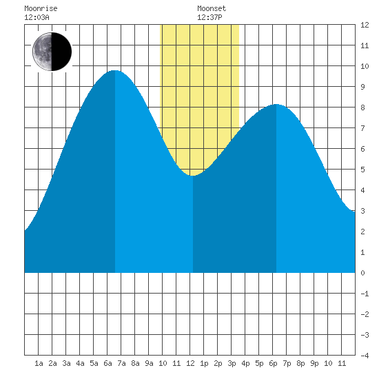 Shag Rock tide chart for Sunday, December 22, 2024