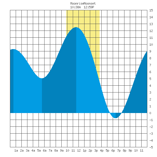 Shag Rock tide chart for Sunday, December 29, 2024